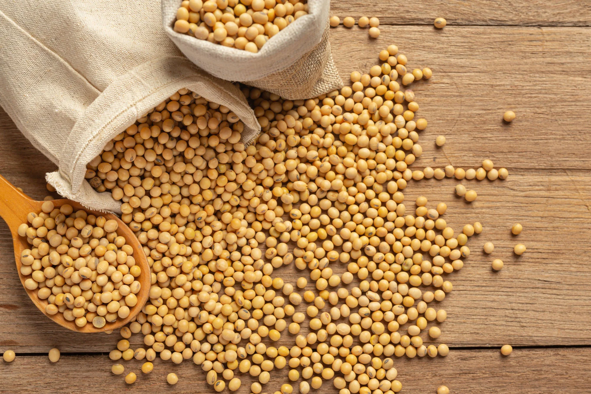 Soybean oil processing