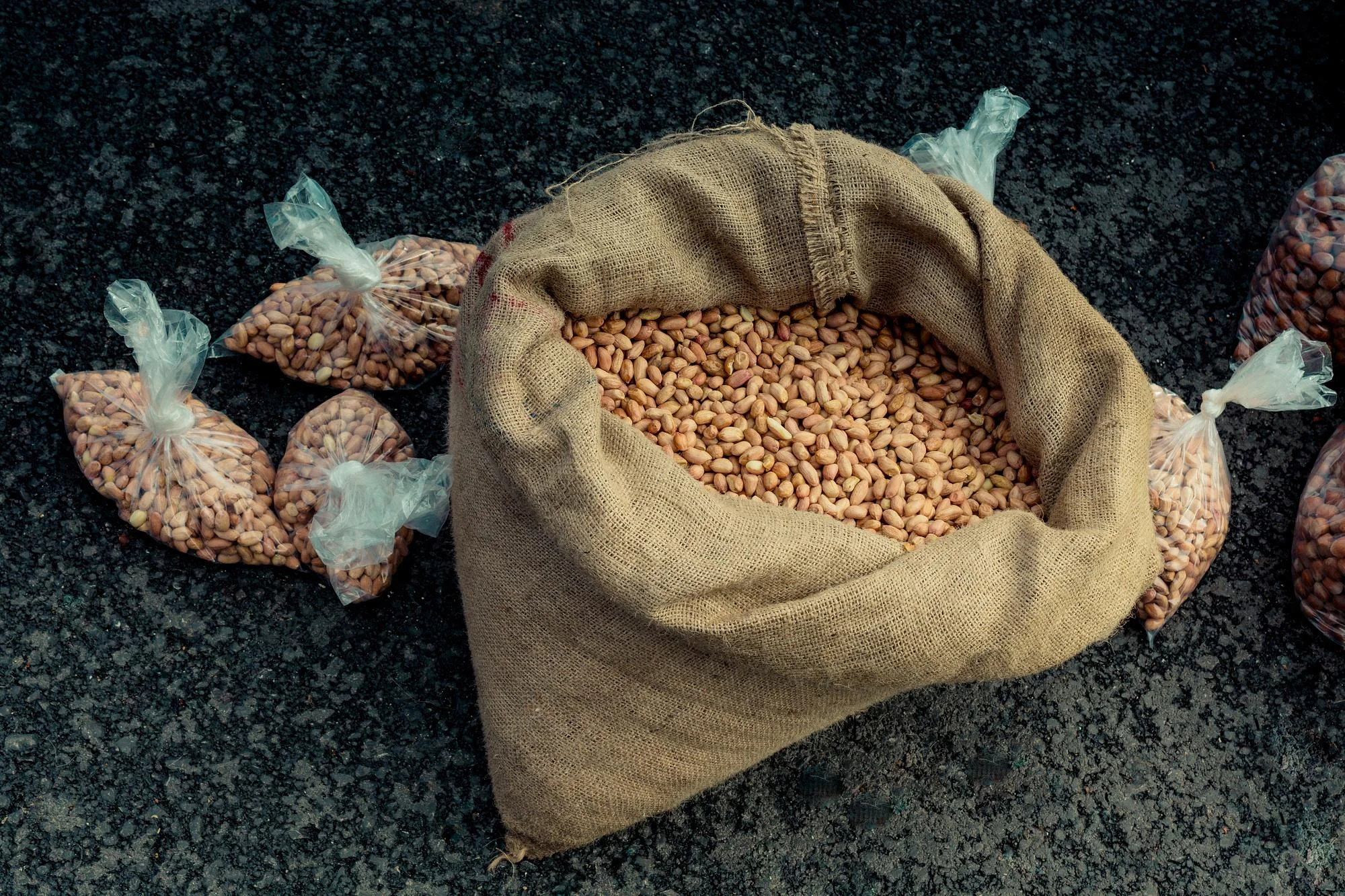 Plant Proteins and Animal Feeds